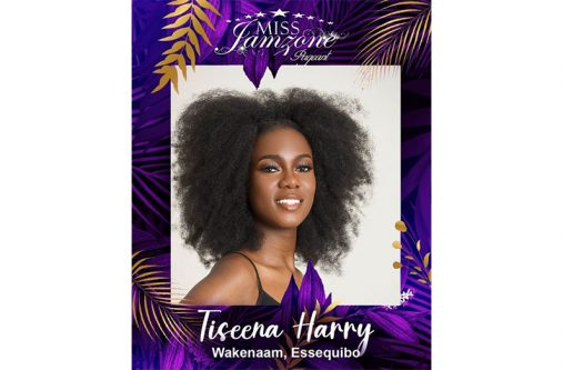 The 14 Miss Jamzone quarter-finalists