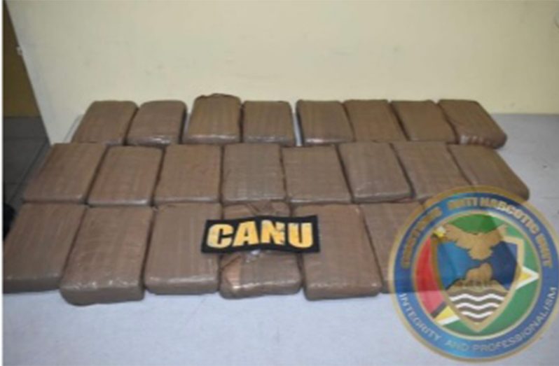 The cannabis seized by CANU officers (CANU photos)