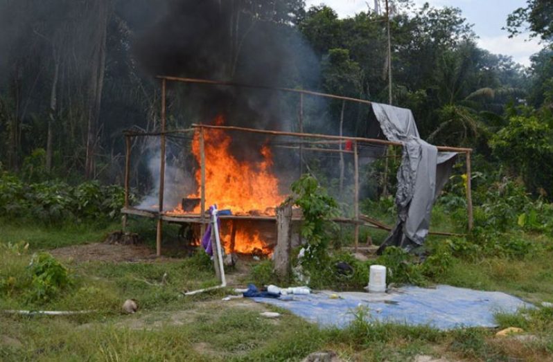 This camp was set ablaze during a marijuana eradication exercise at Ebini, on the Berbice River, in 2018
