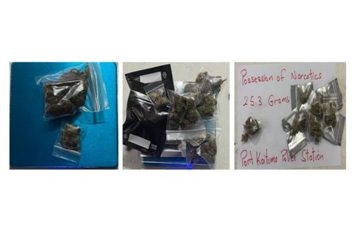 The cannabis discovered by the police