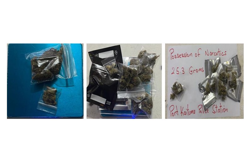 The cannabis discovered by the police