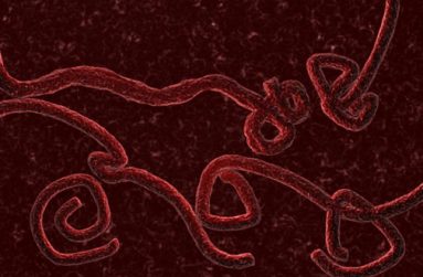 ebola_istock