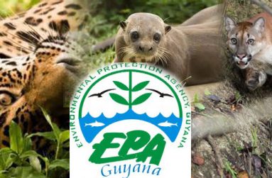 epa_environmental_protection_agency
