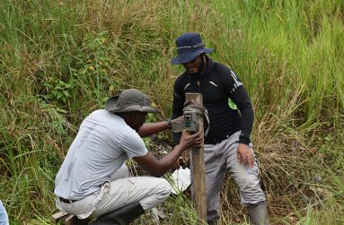 GWCMC staff setting up camera trap to monitor wildlife