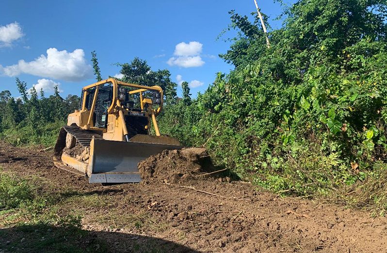 A bulldozer working to clear some of the vegetation at Mara