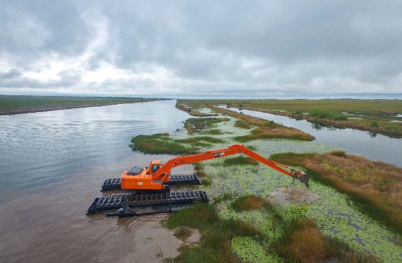 The brand-new amphibious excavator was put straight to work, clearing out a section of the conservancy