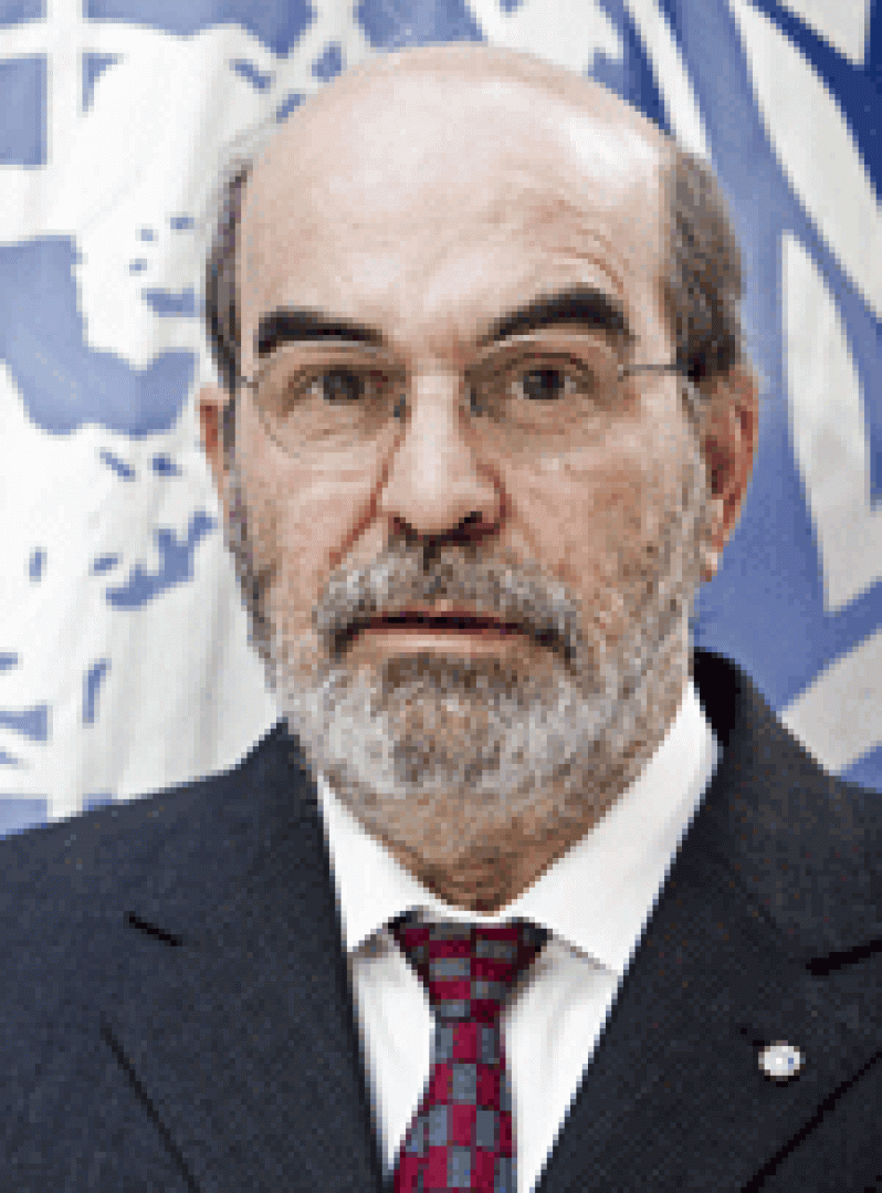 fao-director