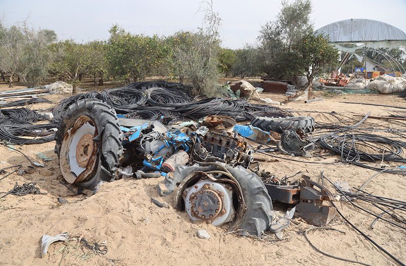 A geospatial assessment carried out by FAO and UNOSAT between October and December 2024 reveals that the extent of the damage to Gaza's agricultural land has reached unprecedented levels