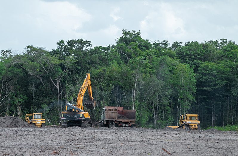 Lands being cleared for the cultivation of corn and other legumes. The company will produce its own feed for their livestock once the project is completed