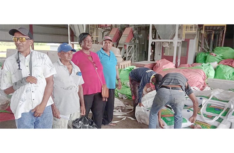 Cash-crop farmers receiving their fertiliser at Vilvorden