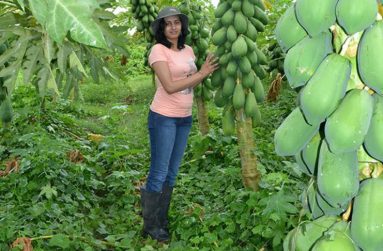 Diana Persaud from Arya's Fresh Cut