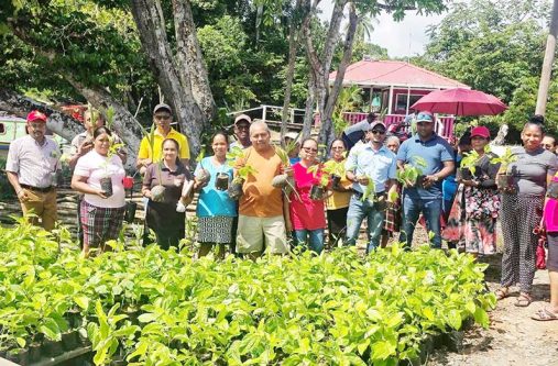 Farmers holding some of the seedlings they received from NAREI