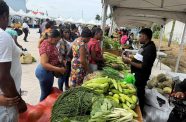 Vendors showcase their locally produced goods at the Farmers’ Market in Sophia