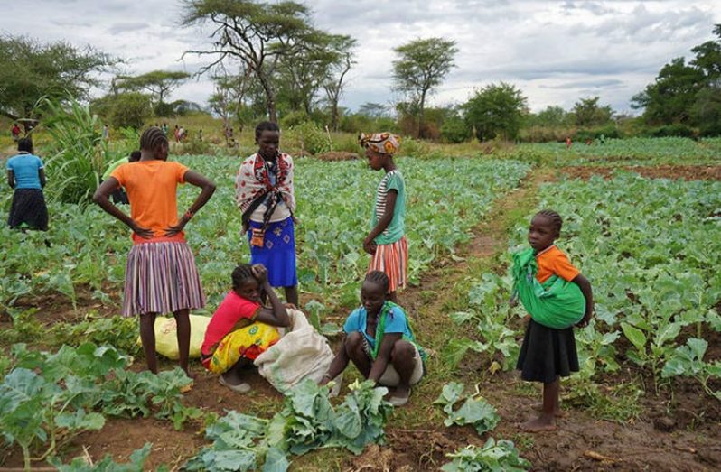 Global food supply chains are complex and include these kale farmers in Uganda