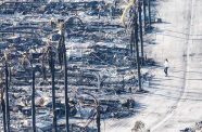 The remains of homes destroyed by the Palisades fire in the Pacific Palisades neighbourhood in Los Angeles, California, U.S (REUTERS/Carlos Barria)