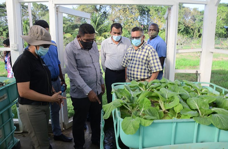 Agriculture Minister, Zulfikar Mustapha, during a tour of the aquaponics centre, Satyadeow Sawh Aquaculture Station (Adrian Narine photo)