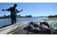 fisherfolk