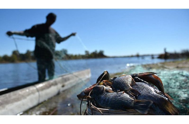 fisherfolk
