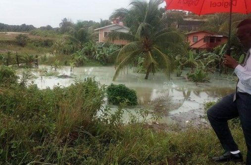 A farmland at West Watooka under water