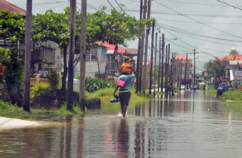 Flashback: The situation in Alexander Village during one particularly severe high tide