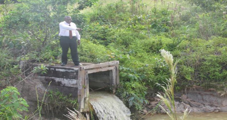 Regional Chairman, Renis Morian on the Kara Kara dyke checking for possible flooding