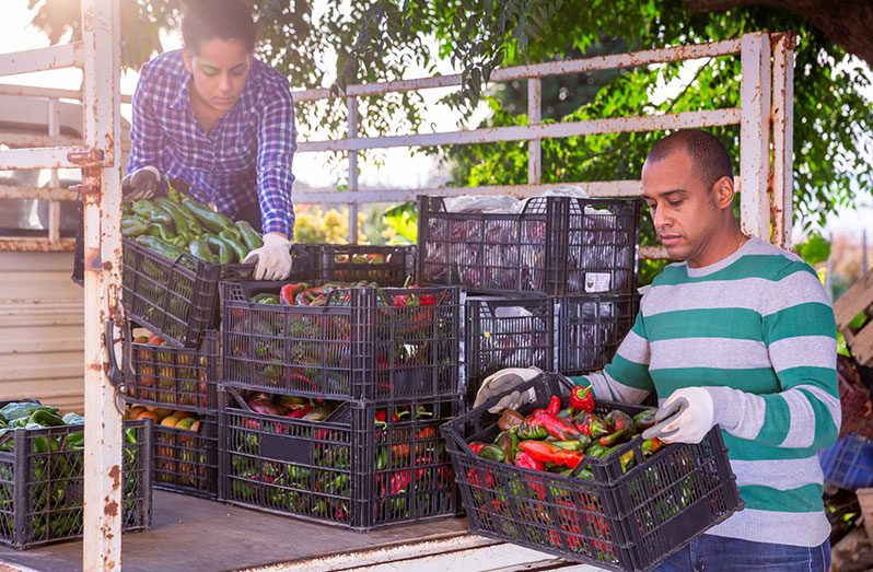Countries of the Americas are not only the world's breadbasket but also the backbone of environmental conservation