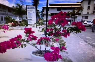 A section of the compound of the St. Joseph Mercy Hospital, Georgetown. (Photo by Francis Quamina Farrier)