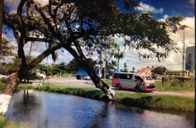A minibus on Croal Street near Vlissengen Road in Georgetown. Speeding along Homestretch Avenue is normal for the Routes #41 and #48 minibuses. Deadly crashes on Homestretch Avenue have resulted in the loss of many lives over the years. (Photo by F.Q. Farrier)