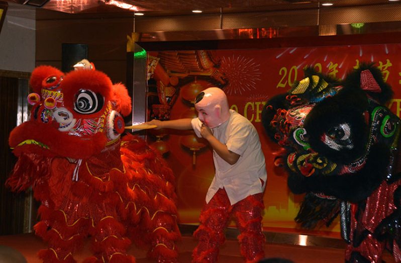 A member of the Chinese Association of Guyana performs
the traditional Chinese ‘Lion Dance’ for the celebration of
the 2019 Chinese Lunar New Year and Spring Festival hosted
at the New Thriving Restaurant on Wednesday. (Adrian
Narine photo)