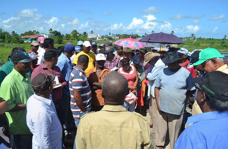 The Ministry of Agriculture on Thursday embarked on a rigorous farmers outreach exercise
programme. Agriculture Minister, Noel Holder accompanied by a team of technical officers
conducted visits in the Mahaica, Mahaicony and Abary areas where he met with farmers to
bring much needed relief to those affected. The first meeting was held at Biaboo Bridge,
Branch Road Mahaica. In this Agriculture Ministry photo, Minister Holder (in green cap) could
be seen listening to complaints by farmers.
