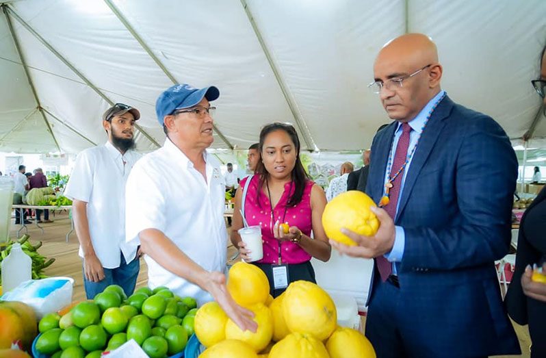 Vice-President, Dr. Bharrat Jagdeo examines a fruit at one of the booths at the Agri-Investment Forum and Expo (Photo credit: Vice President’s facebook page)
