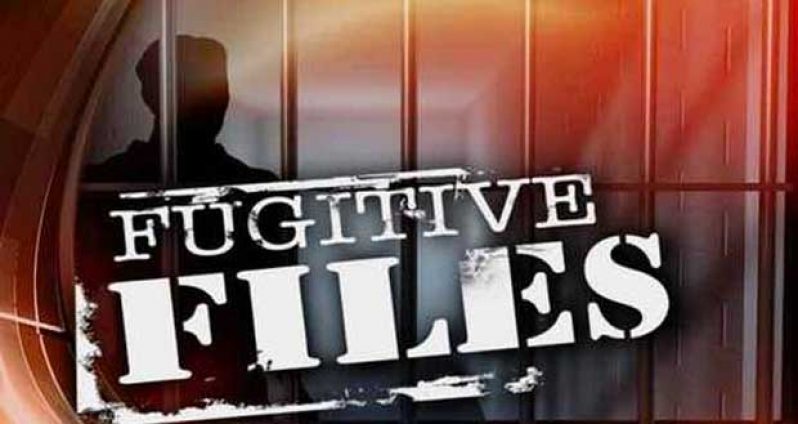 fugitive-files
