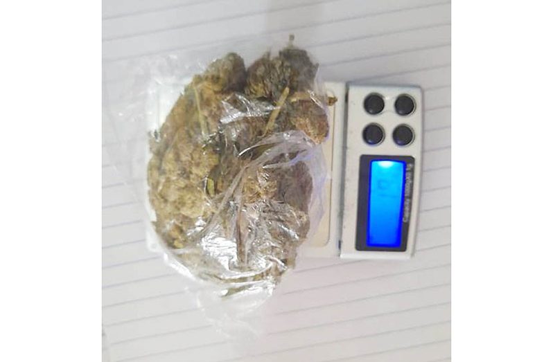 The cannabis that was found in a house in Region Two (Guyana Police Force photo)