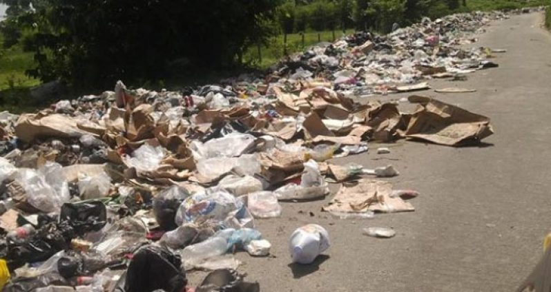 A section of the roadway partly covered with the over-spilled garbage