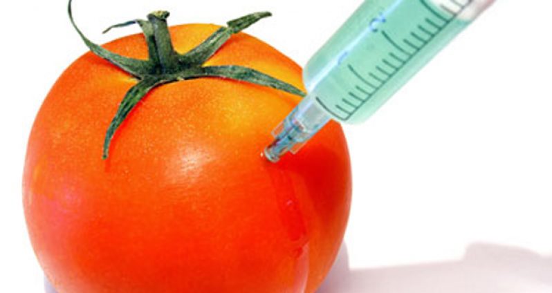 genetically-modified-foods
