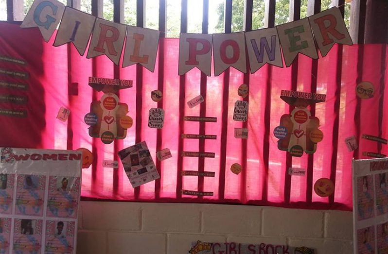 Exhibits produced by the girls who attended the informative forum