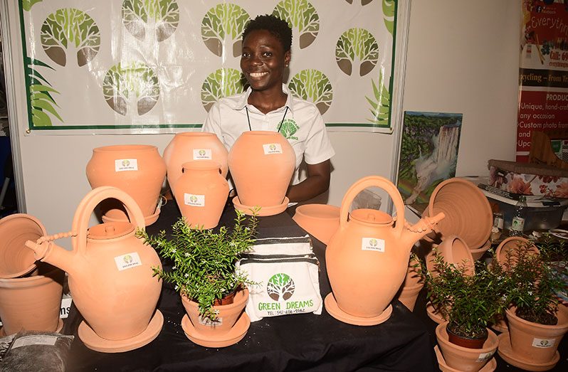Chuku Liana Adams displays her clay pots, plants and organic soil at the recently held Agri-Investment Forum and Expo where she was an exhibitor (Adrian Narine photo)
