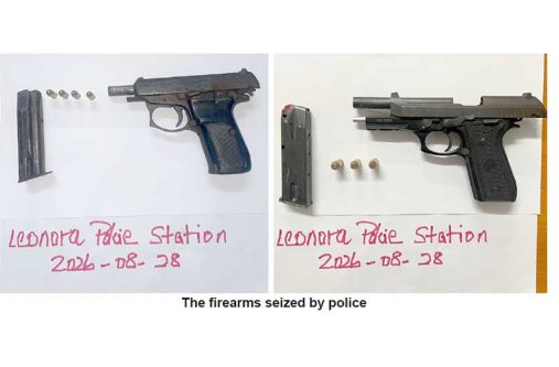 gun21