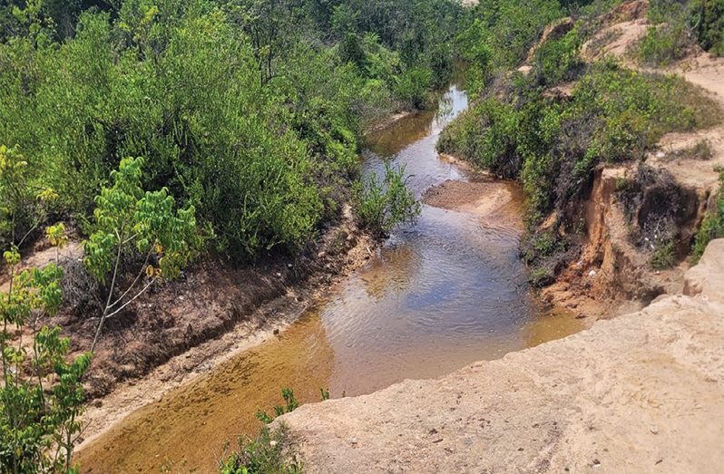A stream in Linden that will source water 
Photo by: GWI