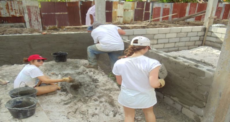 Volunteers at work on a housing project