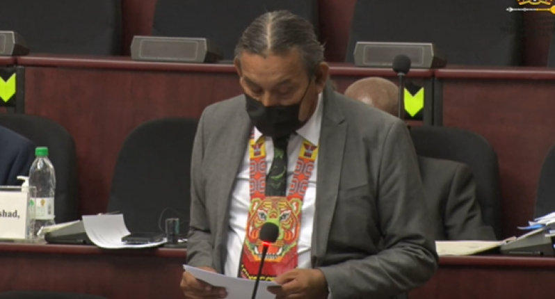 MP Vincent Henry during Monday's Sitting of the National Assembly.