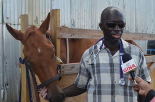 Dr. Dwight Walrond, deputy chief executive officer of the Guyana Livestock Development Authority (GLDA) with the horse that was illegally imported