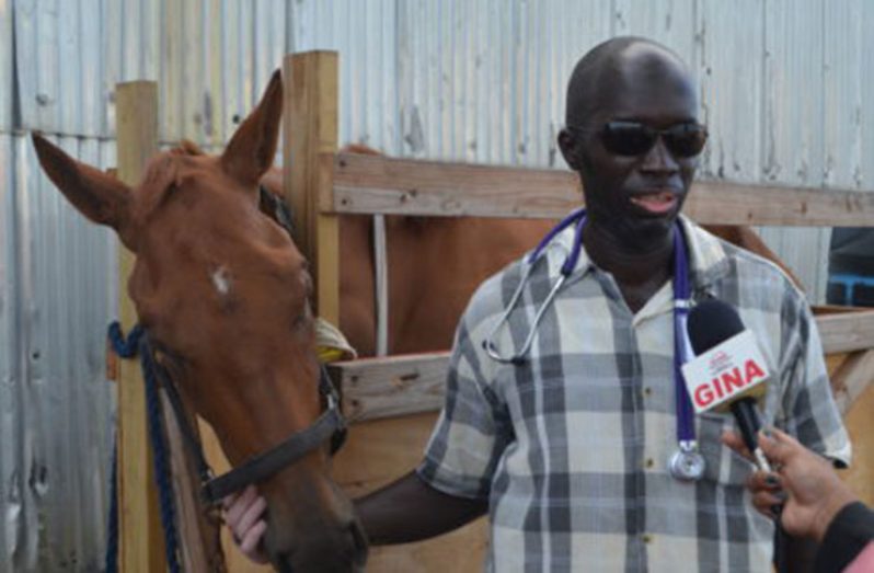 Dr. Dwight Walrond, deputy chief executive officer of the Guyana Livestock Development Authority (GLDA) with the horse that was illegally imported