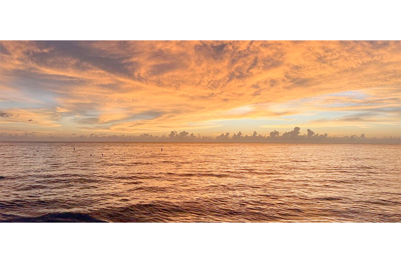 Global sea surface temperature reached an all-time observed high in August 2026 (WMO/Matthew Wilson)