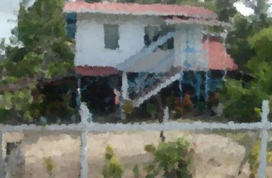 “The modest houses in white with the different colour accents, neat picket fences, small blooming flower gardens and flourishing fruit trees in the back-yards.”