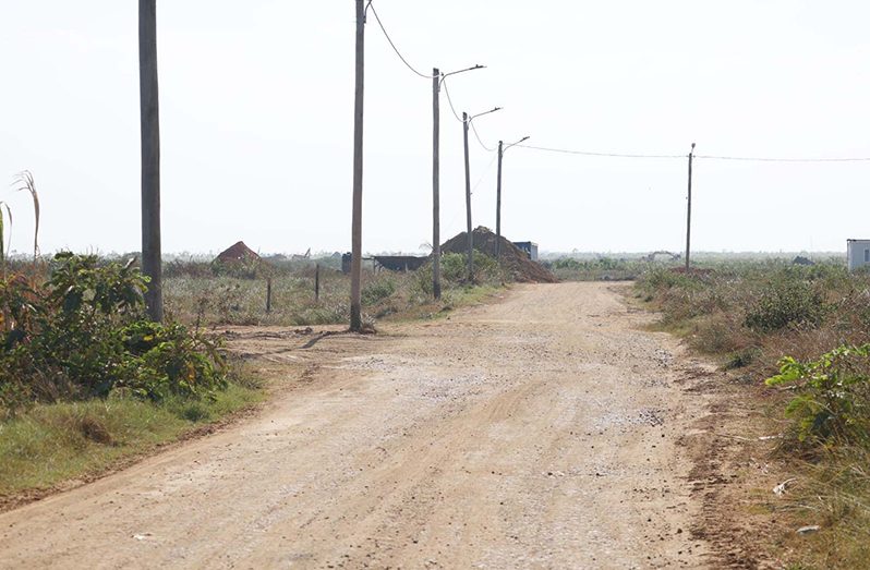 Land clearing in progress at Number 75 and 76 villages in Region Six (Photo: CH&PA)