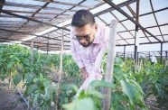 President Irfaan Ali at one of NAREI’s shade houses