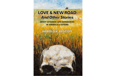 Photo cover for publication (Harold Bascom)