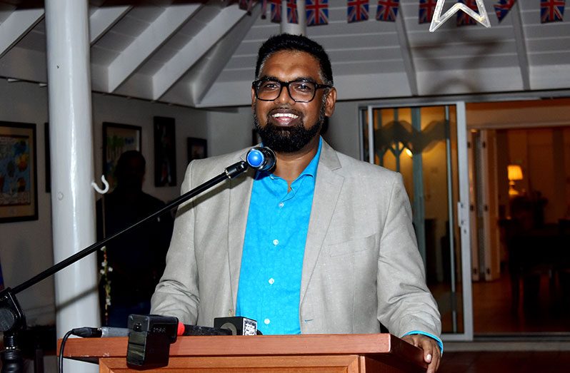 President Dr. Irfaan Ali (Elvin Croker photo)