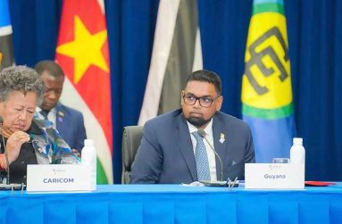 President Dr. Irfaan Ali 